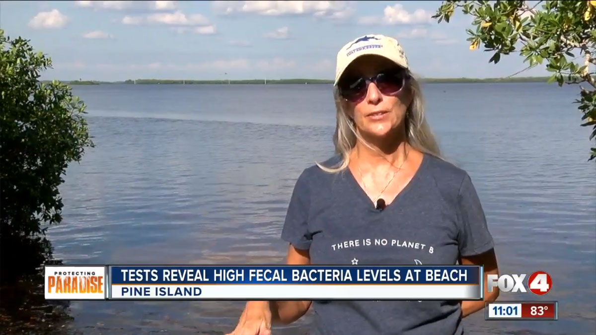 Pine Island Beach contamination